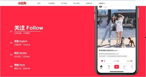 观点独特的网红,揭秘观点独特的网红魅力