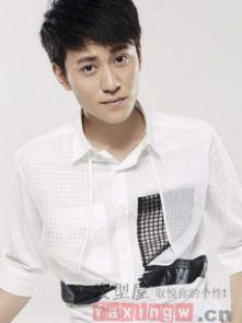 男明星的发型图片,揭秘男明星的时尚发型潮流