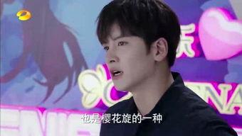 高梦资料,探寻梦想与现实的交织之旅