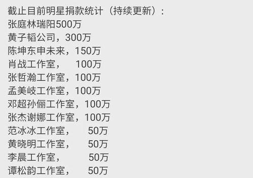 明星捐款名单,捐款名单背后的温暖力量