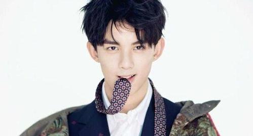 吴磊同人娱乐圈完结,星光璀璨的青春落幕