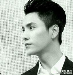 明星照片男明星,探寻男明星的魅力瞬间