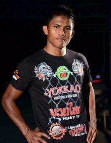 播求的个人资料,从格斗传奇到体育精神象征的蜕变之路